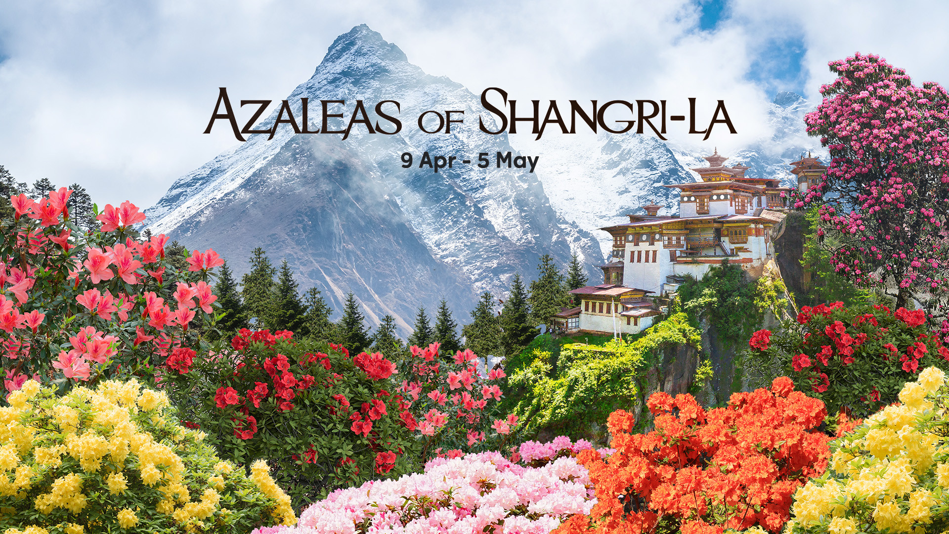 Azaleas of Shangri La at Gardens By The Bay