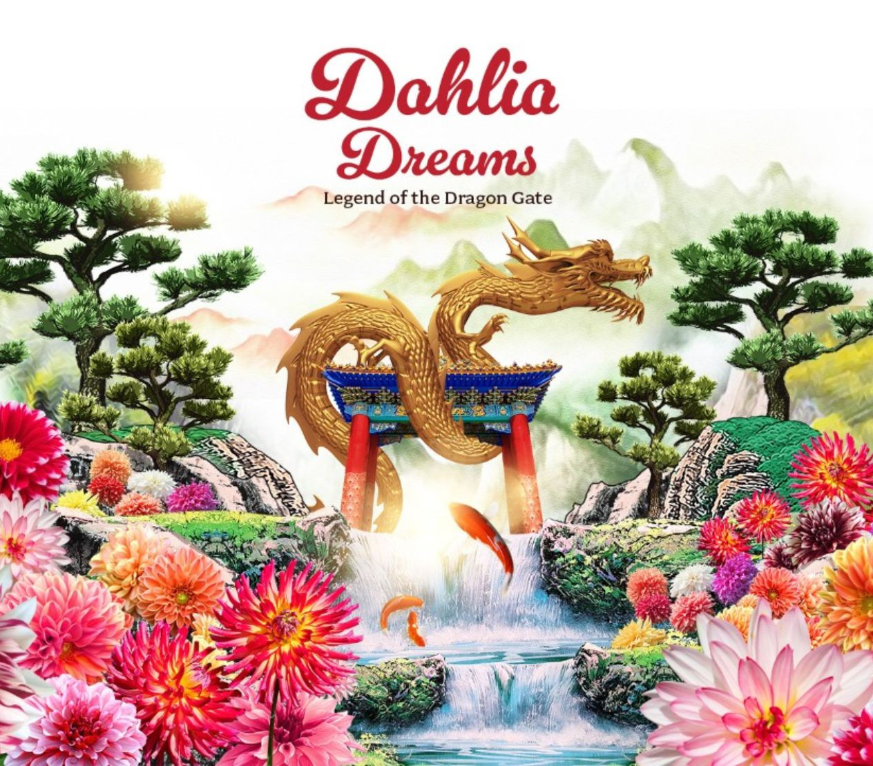 Dahlia Dreams 2024